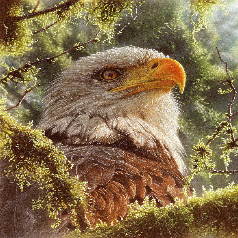 Sunsout High and Mighty 1000 pc  Jigsaw Puzzle Image