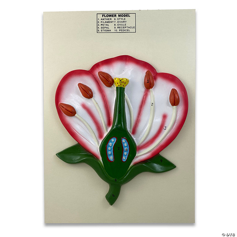 Supertek 3-D Flower Model Image