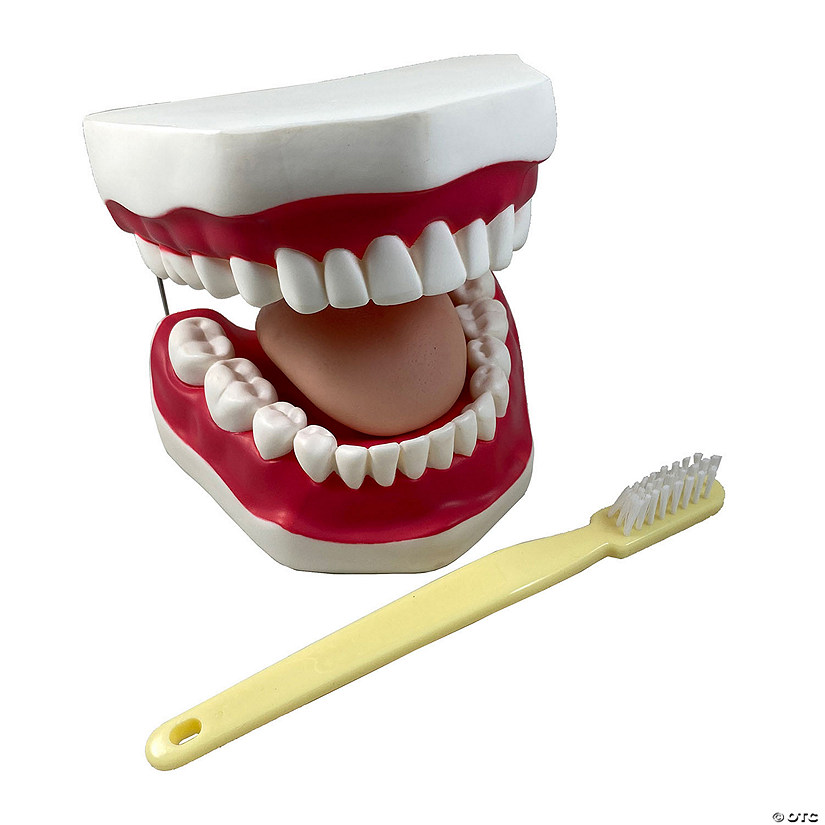 Supertek Oral Hygiene Model with Key Image