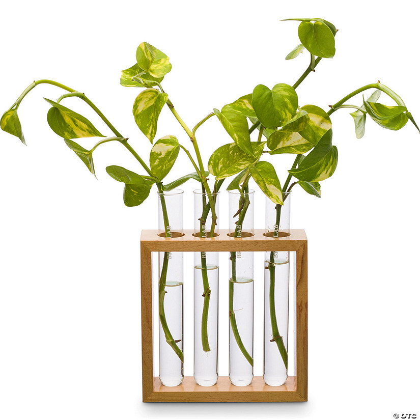 Supertek Square Plant Holder Image