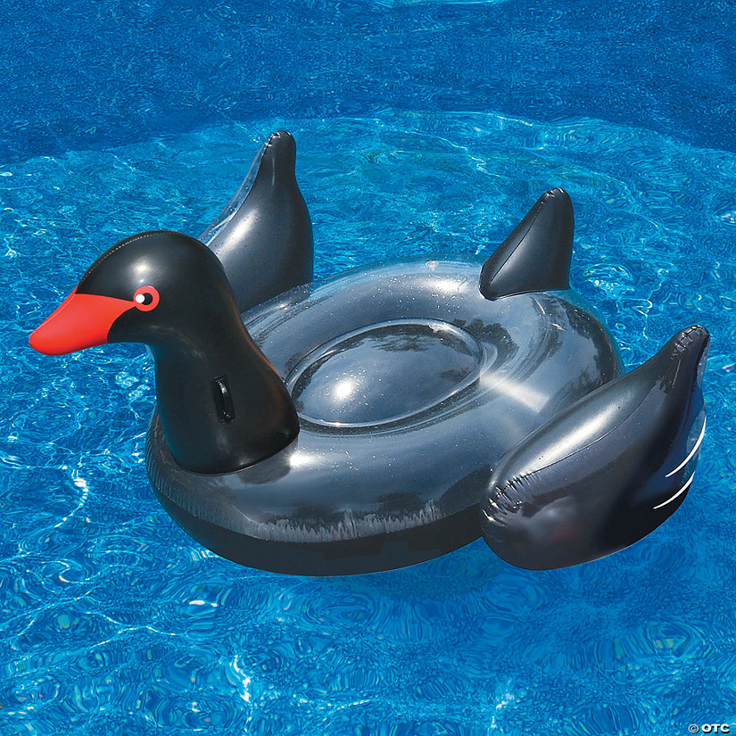 inflatable swan pool float