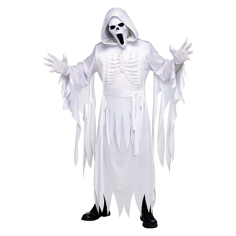 The Banshee Ghost Adult Costume  One Size Image
