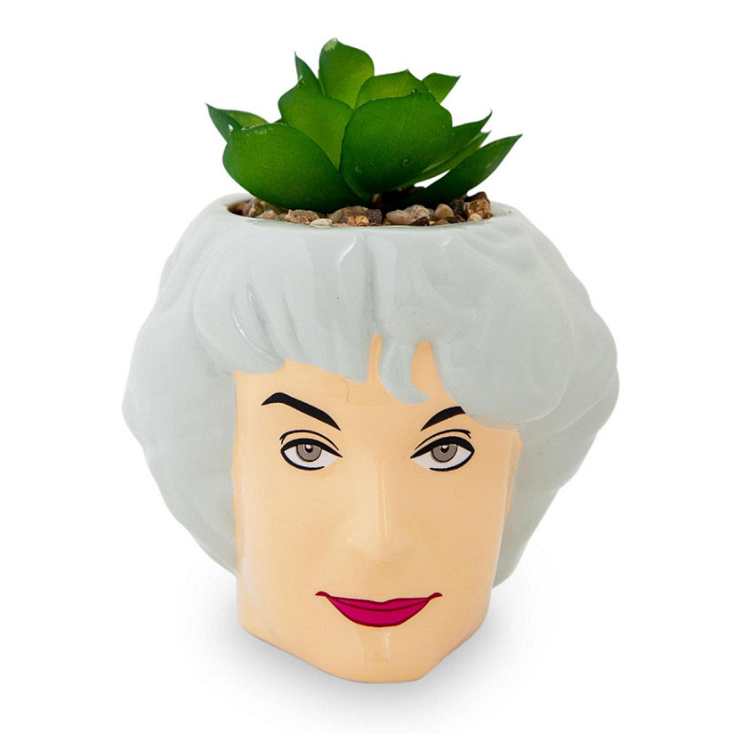 The Golden Girls Dorothy 3-Inch Ceramic Mini Planter With Artificial Succulent Image