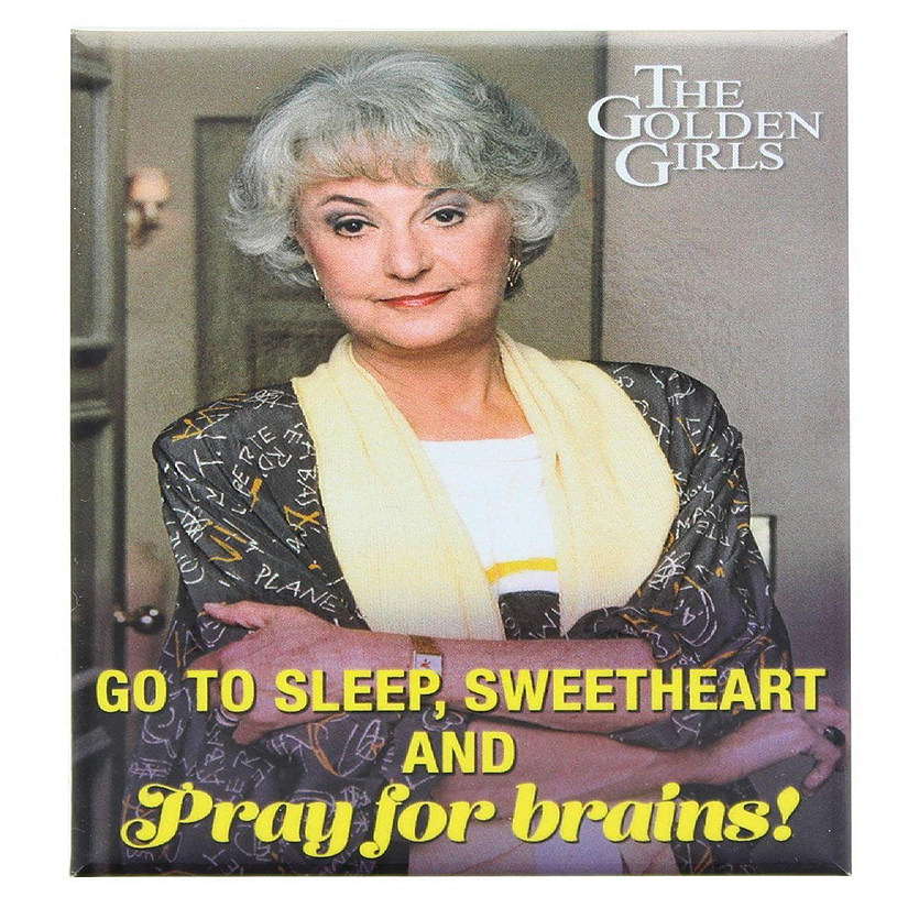 The Golden Girls Dorothy Pray For Brains 2.5 x 3.5 Inch Magnet Image