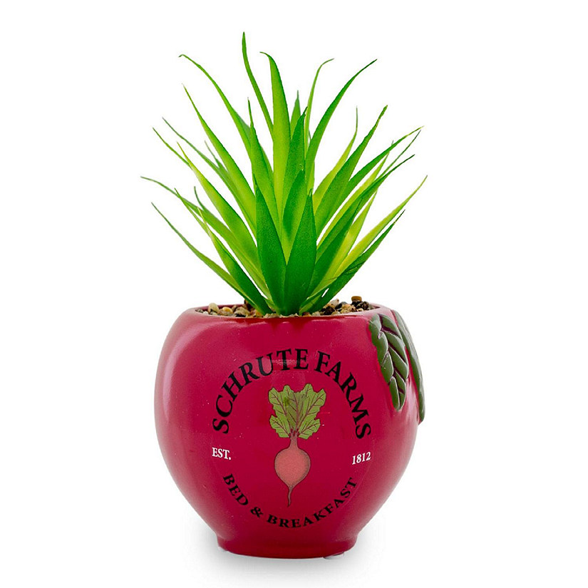 The Office Schrute Farms Rustic 8-Inch Planter With Artificial Succulent Image