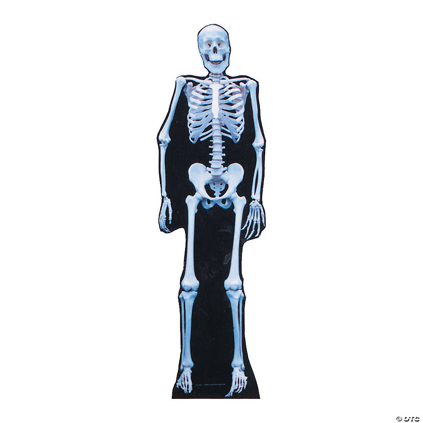 The Skeleton Cardboard Cutout Image