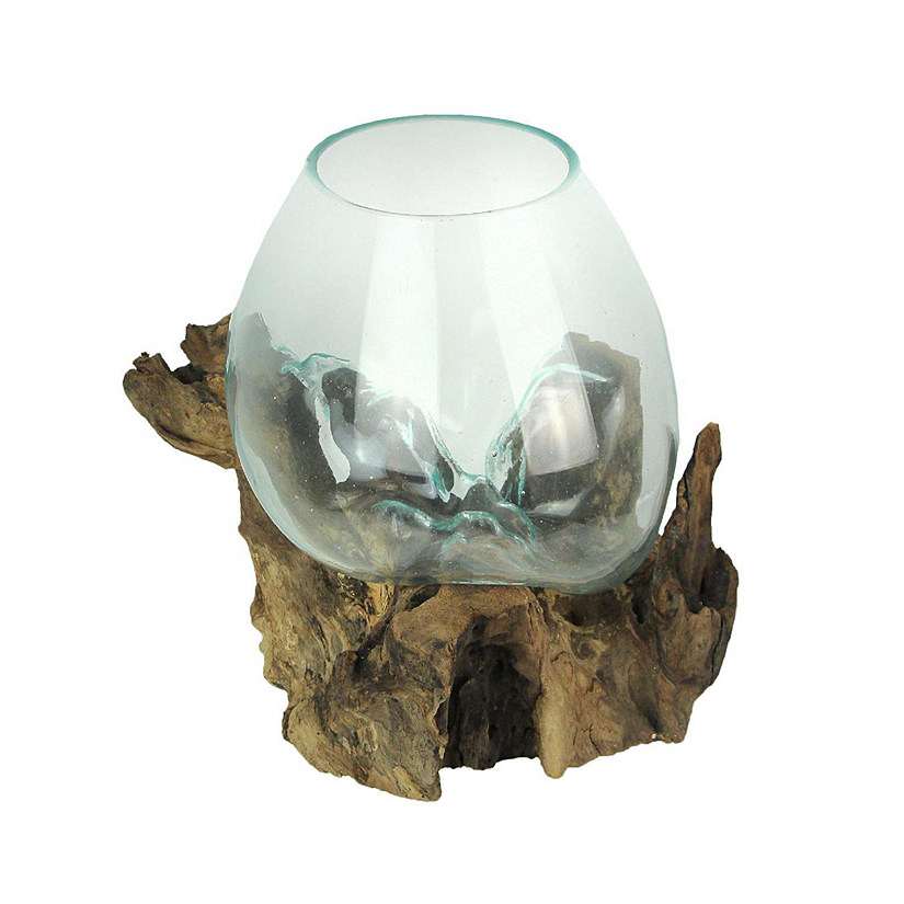 Things2Die4 Large Molten Glass Sculptural Bowl / Plant Terrarium On Natural Driftwood Base Image