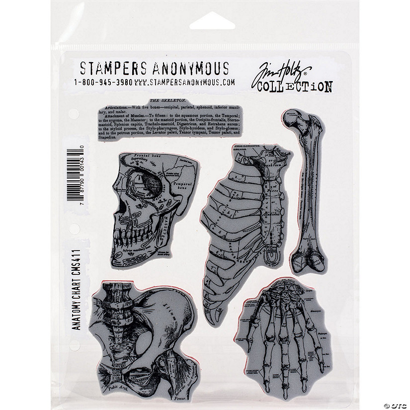 Tim Holtz Cling Stamps 7"x8.5", Anatomy Chart Image