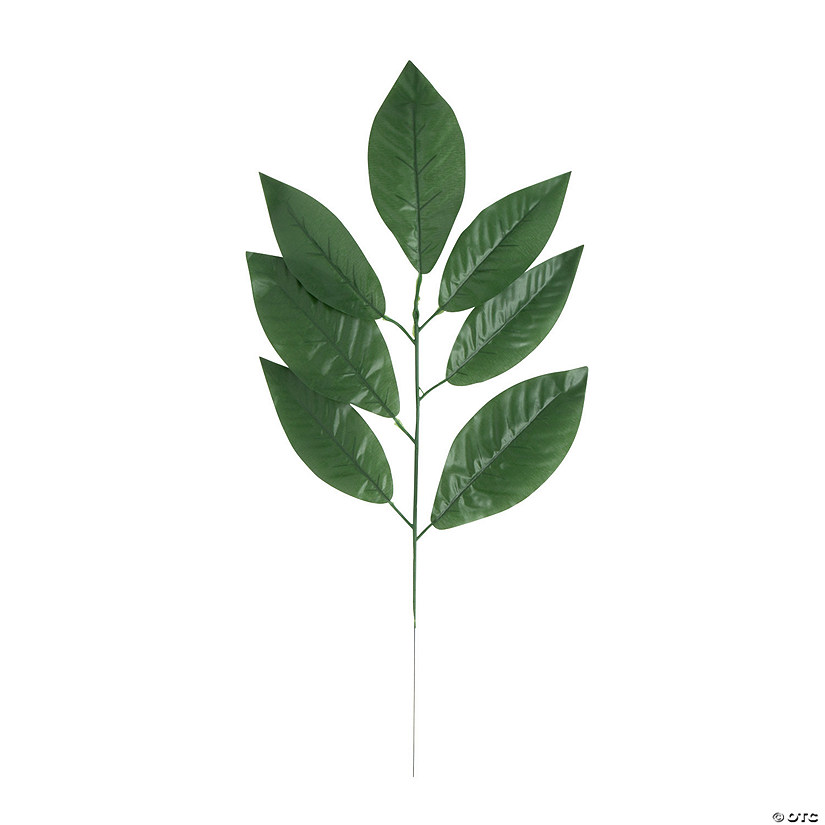 Tropical Leaves - 6 Pc. Image