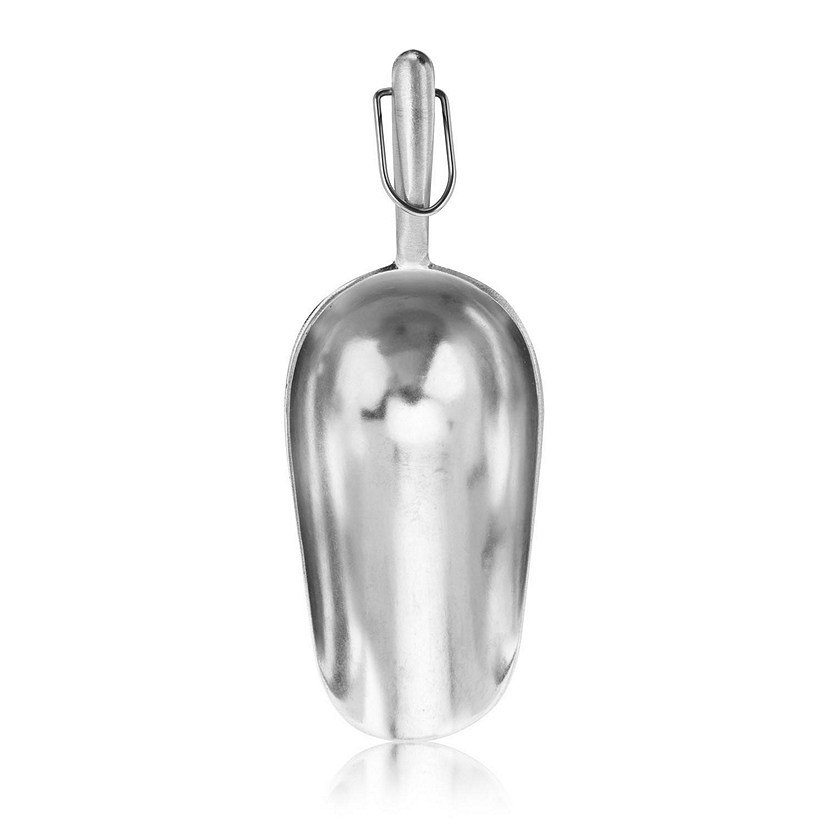 True Metal Ice Scoop Image
