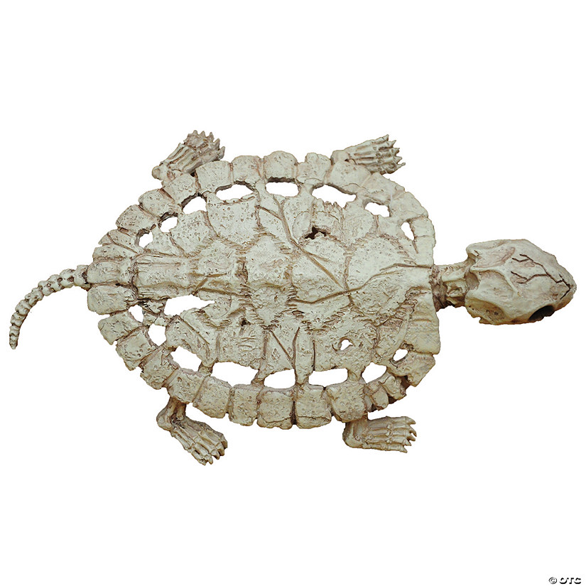Turtle Skeleton Decoration Image