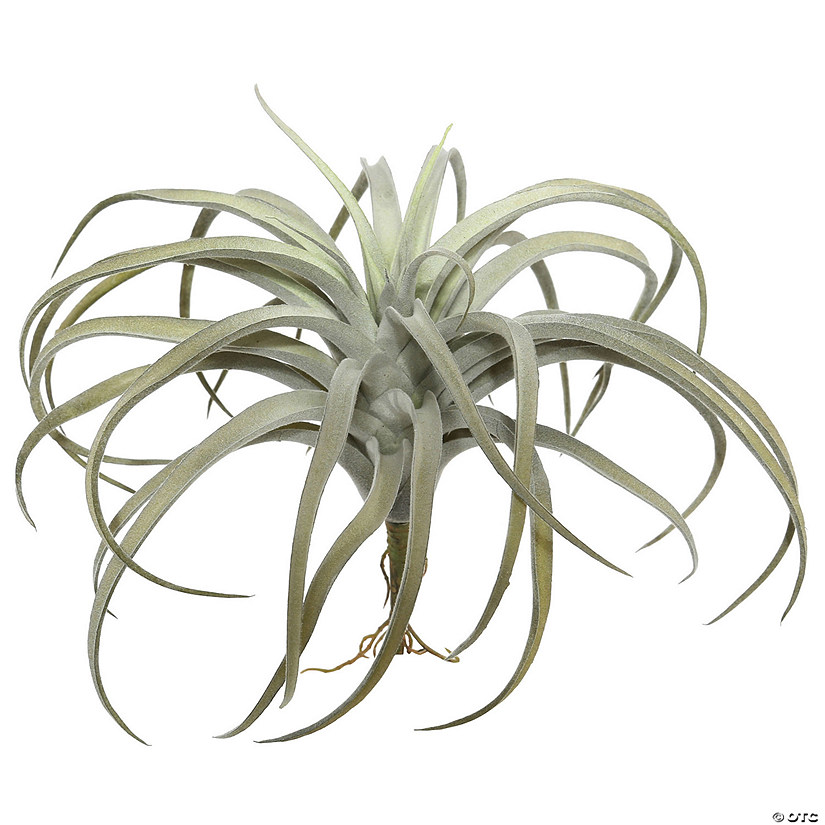 Vickerman 10.5" Artificial Gray Tillandsia Pick. Image