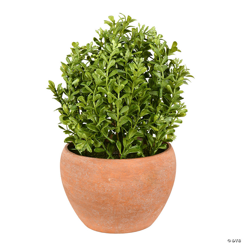 Vickerman 10" Artificial Green Boxwood Moderne Bush, Ceramic Container