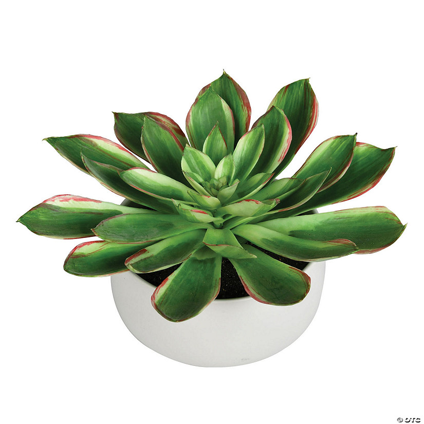 Vickerman 10" Artificial Potted Green Succulent Image