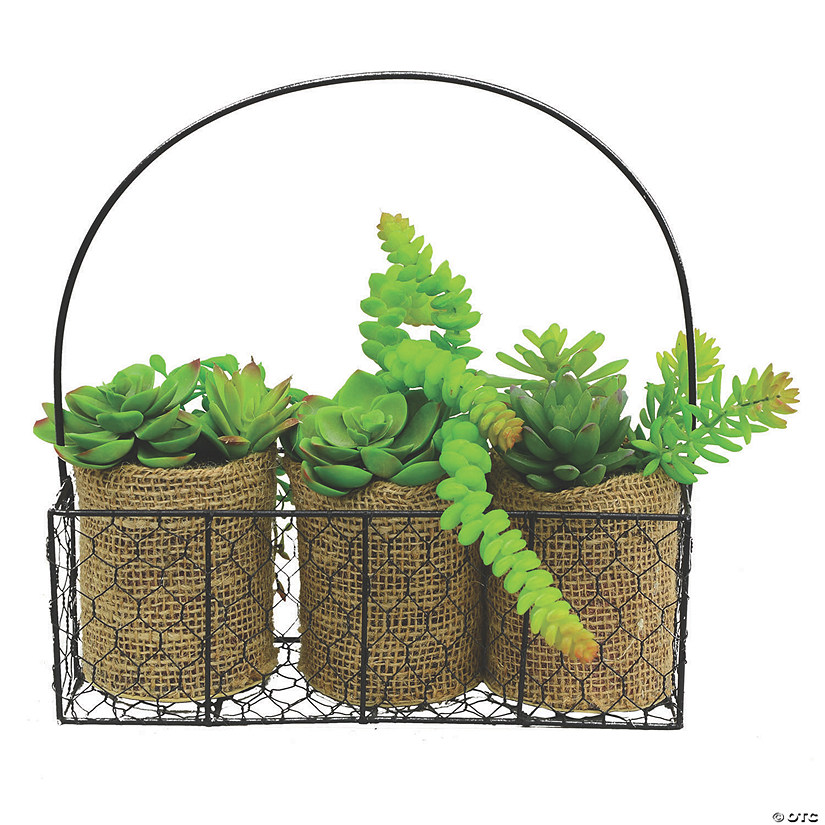 Vickerman 11" Artificial Assorted Succulents in Galvanized Hanger Image