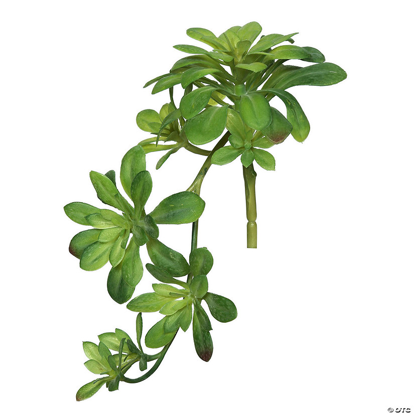 Vickerman 11" Artificial Green Aeonium Spray Includes 3 sprays per pack Image