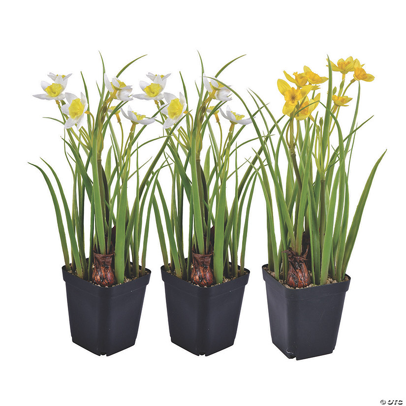 Vickerman 12" Daffodils in Black Plastic Planters Pots, Set of 3 Image