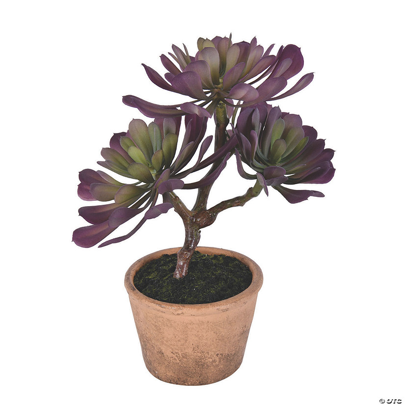 Vickerman 12" Purple and Green Succulent, comes in a Paper Pot Image