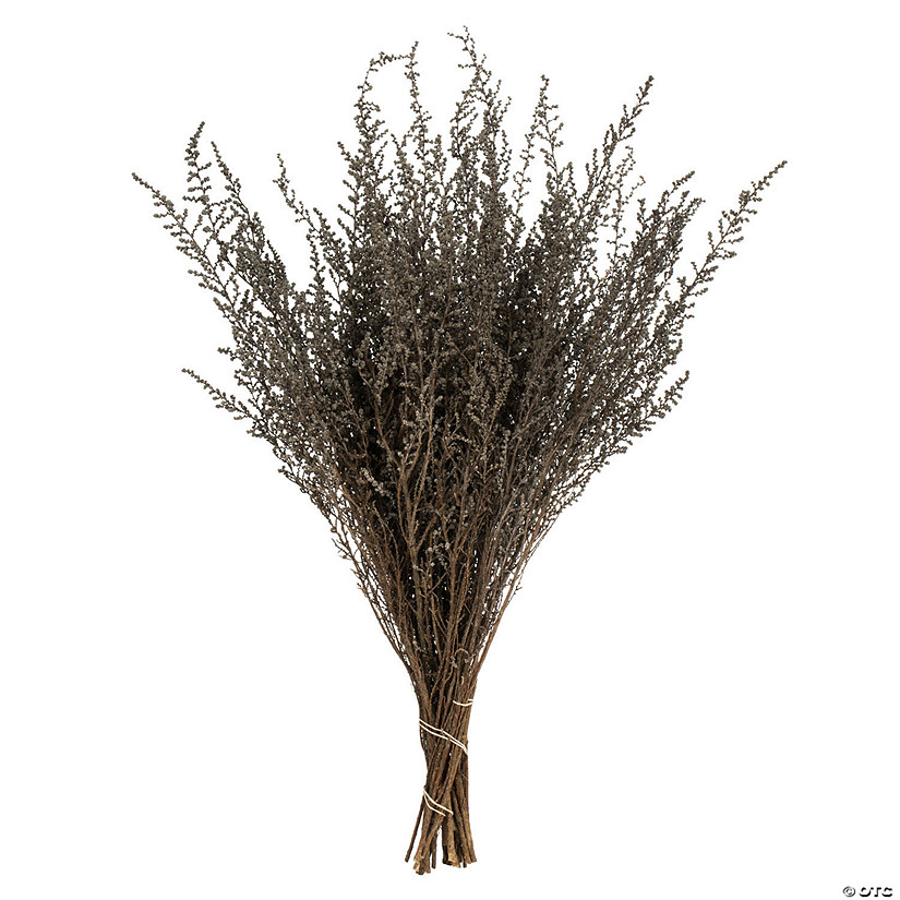 Vickerman 14-18" Silver White Stoebe Bundle Image
