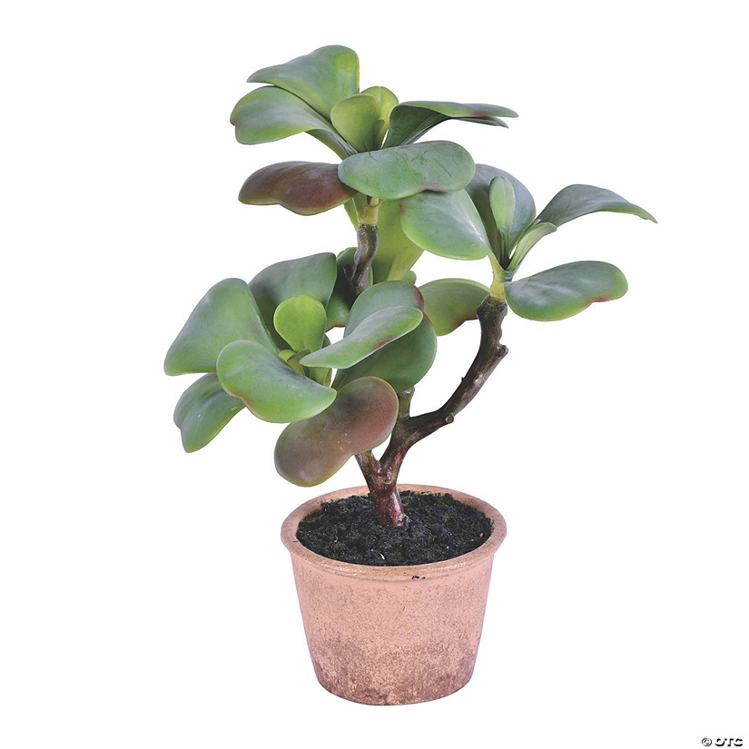 Vickerman 14" Green Succulent, comes in a Paper Pot Image