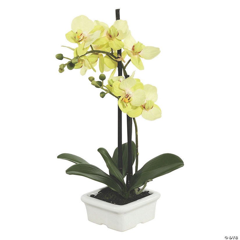 Vickerman 15.5" Artificial Green Orchid Image