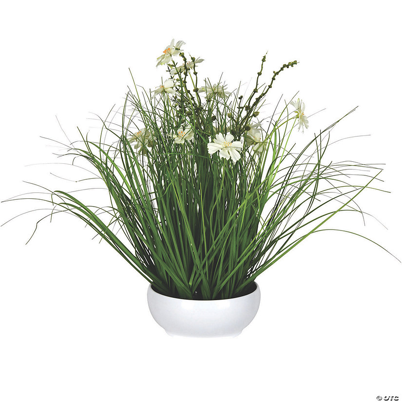 Vickerman 16.5" Potted Cream Cosmos and Green Grass Image