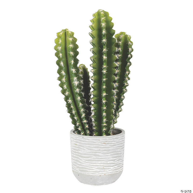 Vickerman 17" Green Cactus Plant Image