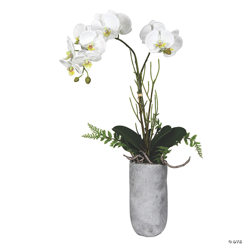 Vickerman 17" Potted White Butterfly Orchid Image