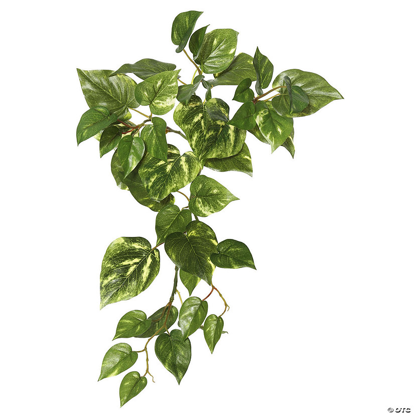 Vickerman 18" Artificial Green Pothos Hanging Bush, Set of 3 Image