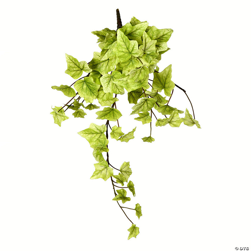 Vickerman 18" Artificial Light Green Ivy Hanging Bush, Set of 3 Image