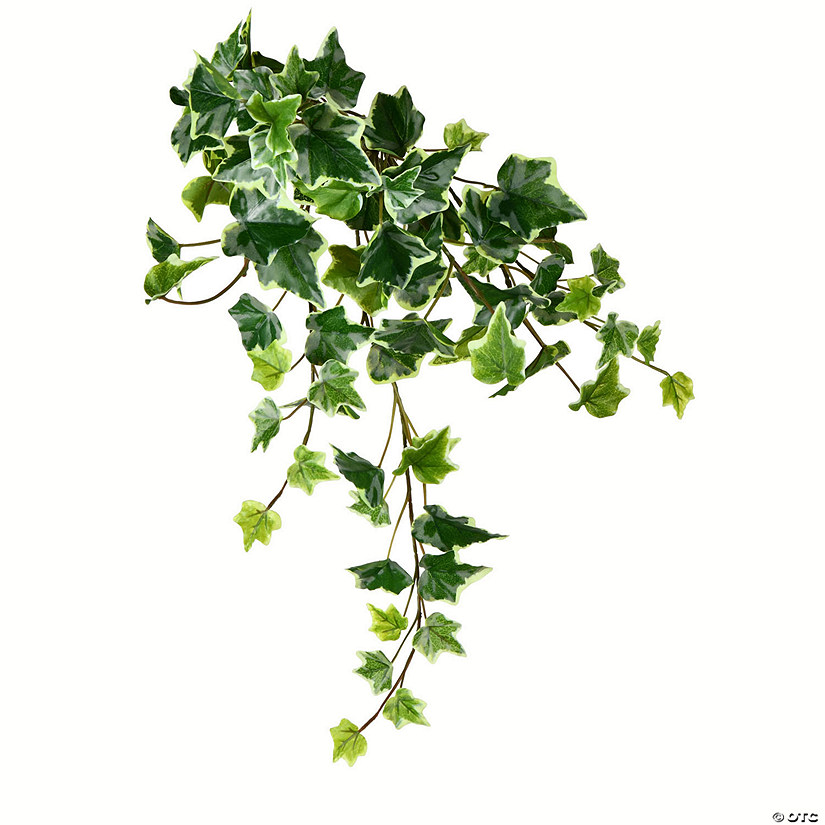 Vickerman 18" Artificial Varigated Ivy Hanging Bush, Set of 3 Image