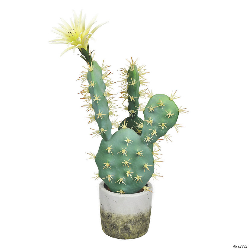 Vickerman 18" Green Cactus in Cement Pot Image