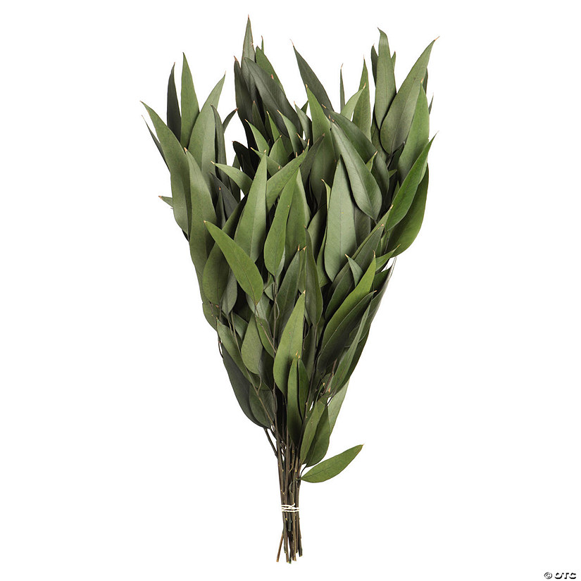 Vickerman 18" Green Weeping Willow Eucalyptus Foliage, 5 oz Bundle, Preserved Image