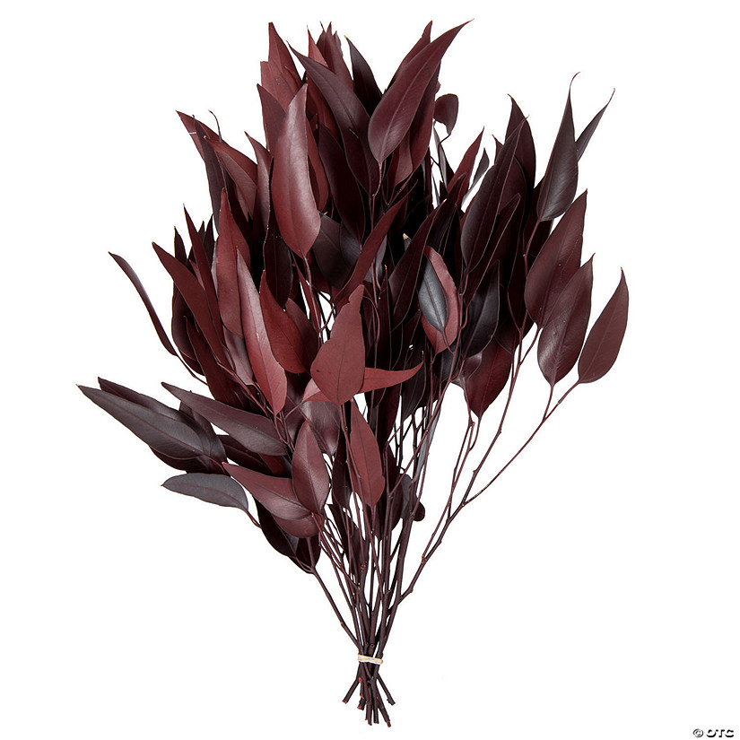 Vickerman 18" Red Weeping Willow Eucalyptus Foliage, 5 oz Bundle, Preserved Image