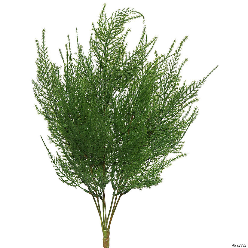 Vickerman 19.5" Artificial Green Asparagus Bush. Image