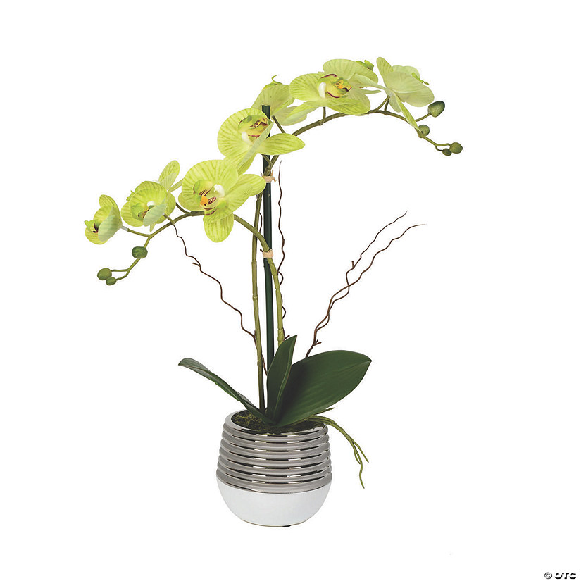 Vickerman 19.5" Artificial Green Phalaenopsis In Metal Pot, Real Touch Petals Image
