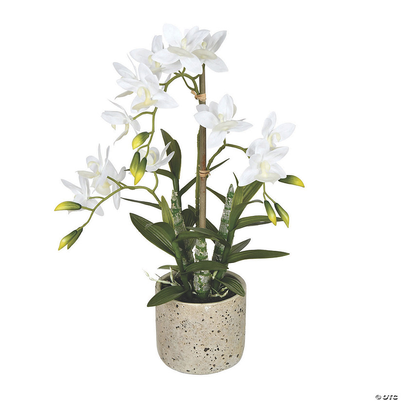 Vickerman 19" Deluxe Potted White Cycnoches Image