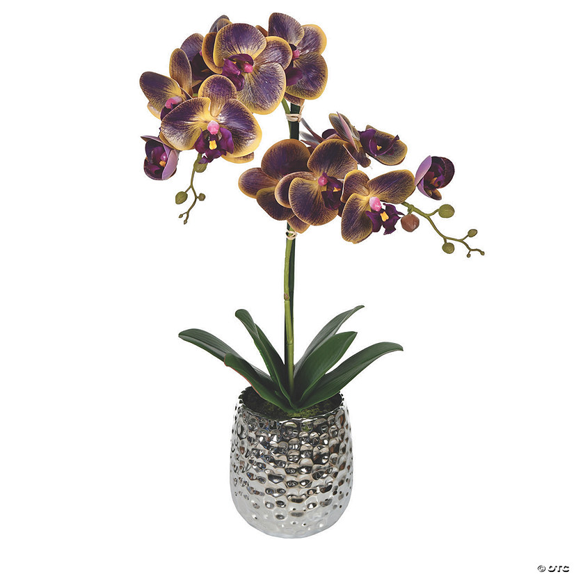 Vickerman 20.5" Potted Real Touch Purple Phalaenopsis Spray Image