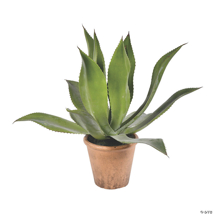 Vickerman 20" Agave Potted Plant Image