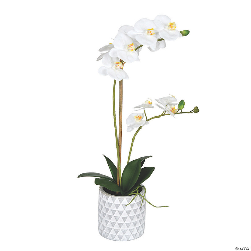 Vickerman 21" Potted Real Touch White Phalaenopsis Spray Image
