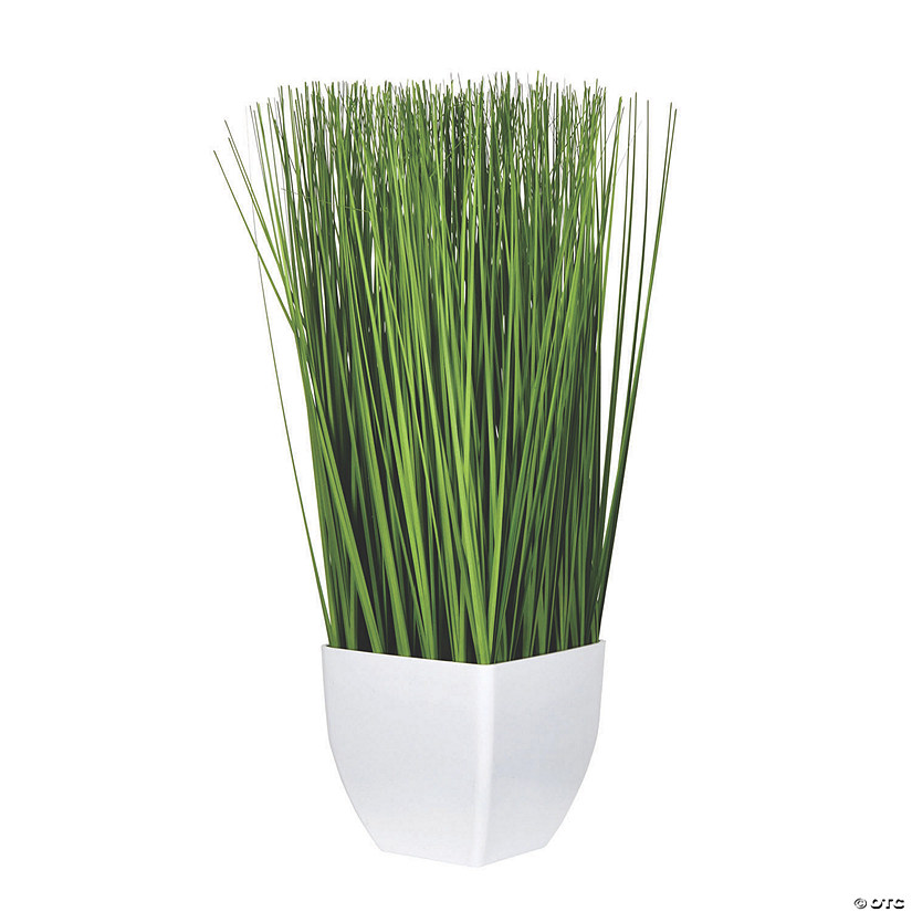 Vickerman 22.5" Green Potted Grass Image