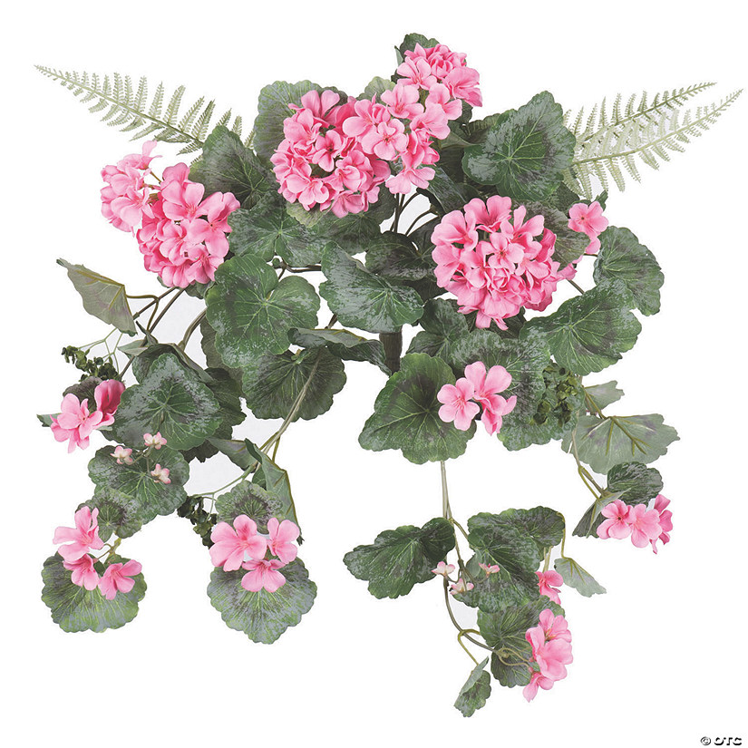 Vickerman 22" Artificial Coral Geranium Hanging Image
