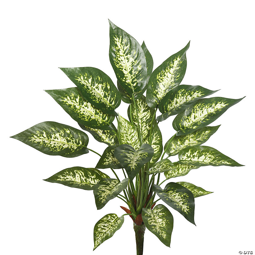 Vickerman 22" Artificial Green and White Dieffenbachia Exotica Bush. Image