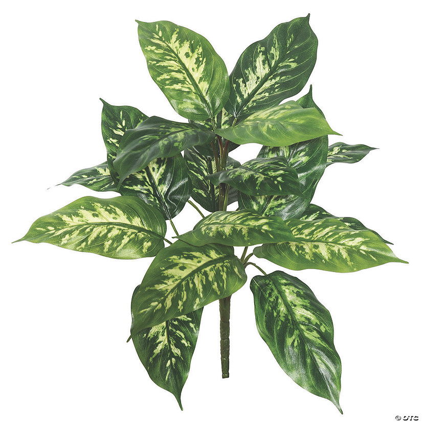 Vickerman 22" Artificial Green Dieffenbachia Plant