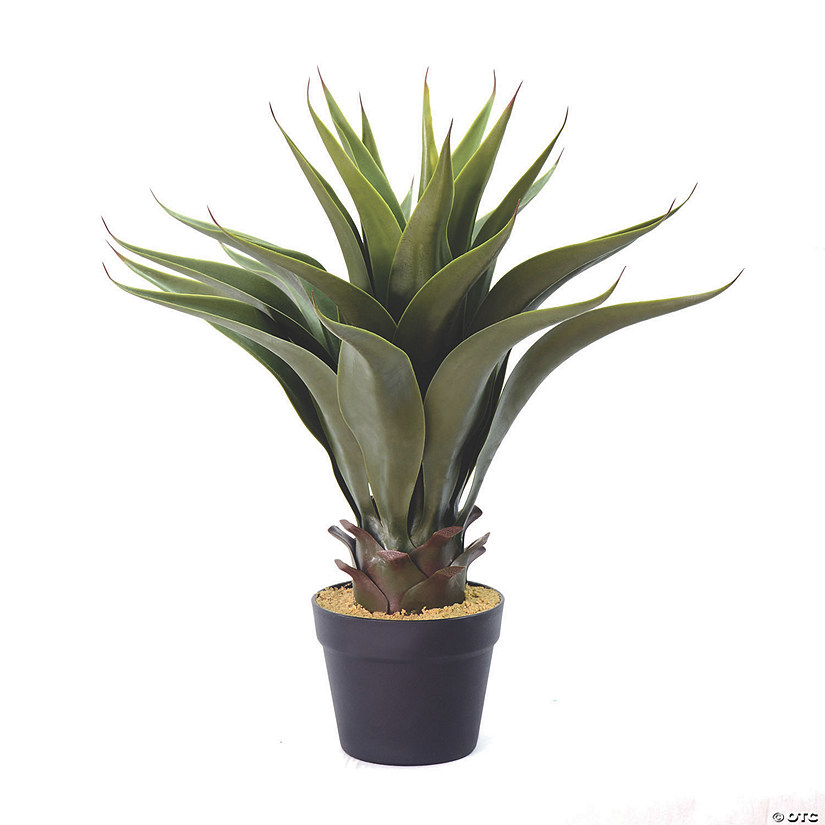 Vickerman 22" Artificial Green Potted Aloe Vera Image