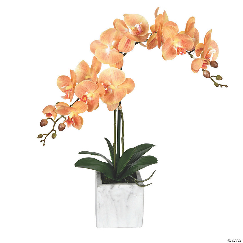 Vickerman 22" Potted Real Touch Coral Phalaenopsis Spray Image