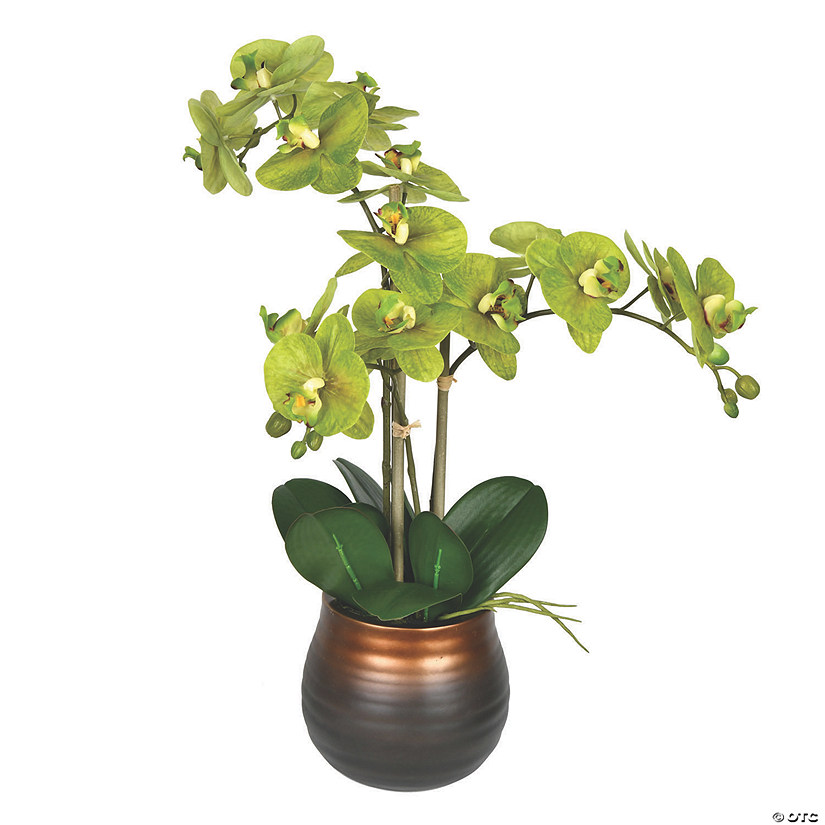 Vickerman 22" Potted Real Touch Green Phalaenopsis Spray Image