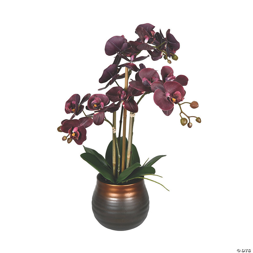 Vickerman 22" Potted Real Touch Purple Phalaenopsis Spray Image