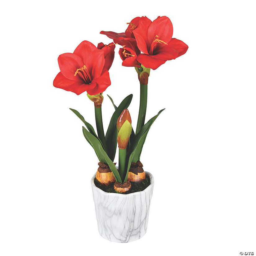 Vickerman 22" Red Amaryllis Potted Floral Arrangement Image