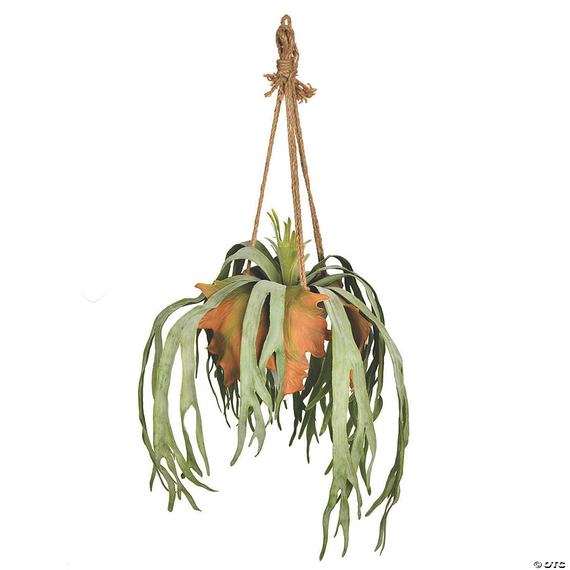 Vickerman 22" Staghorn Fern in Triangular Cone Shaped Hanging Ceramic Pot Image
